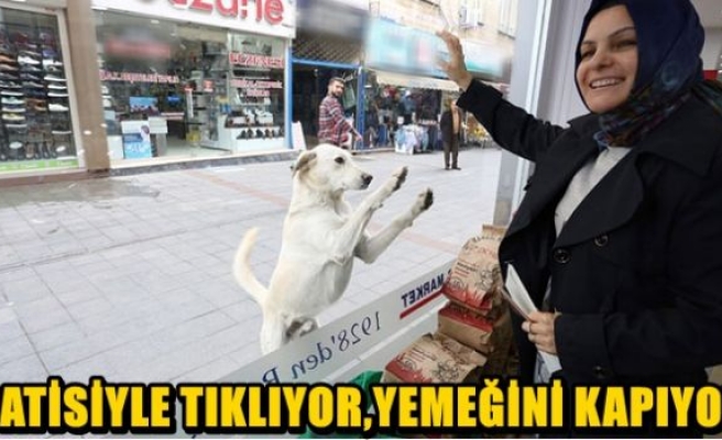 Patisiyle tıklıyor, yemeğini kapıyor