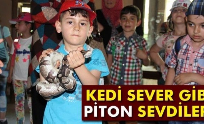 Piton sever çocuklar