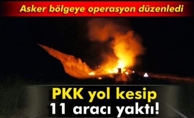 PKK yol kesip, araç yaktı