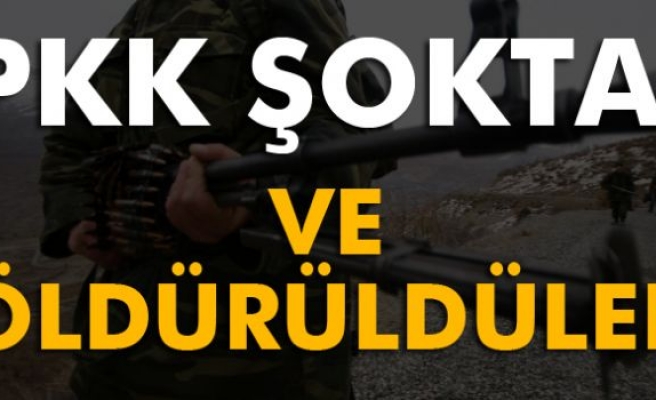 PKK’nın sözde bölge sorumluları öldürüldü