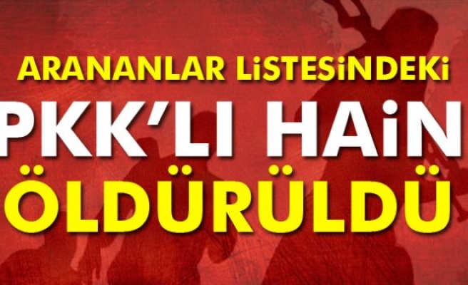 PKK’nın sözde Mardin sorumlusu öldürüldü