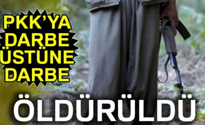 PKK'nın sözde Şenkaya sorumlusu öldürüldü