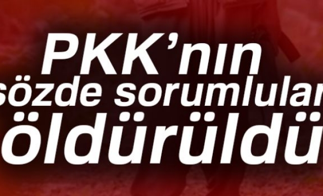 PKK'NIN SÖZDE SORUMLULARI ÖLDÜRÜLDÜ!