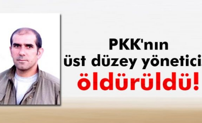 PKK'nın üst düzey yöneticisi öldürüldü