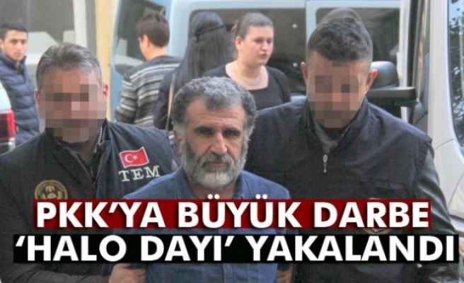 PKK'ya büyük darbe: 'Halo dayı' yakalandı