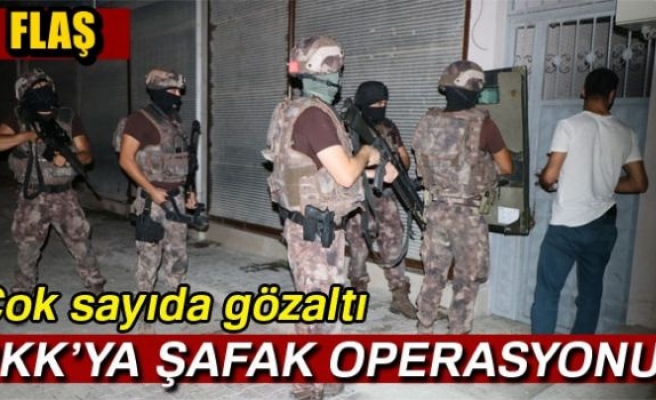 PKK’ya şafak operasyonu: 20 gözaltı