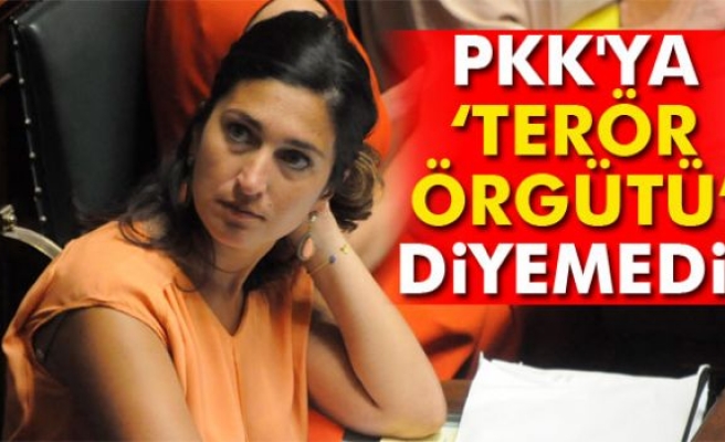 PKK'ya Terör Örgütü Diyemedi!