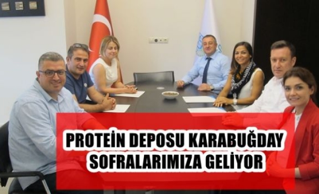 PROTEİN DEPOSU KARABUĞDAY SOFRALARIMIZA GELİYOR