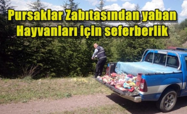 Pursaklar Zabıtasından yaban hayvanları için seferberlik