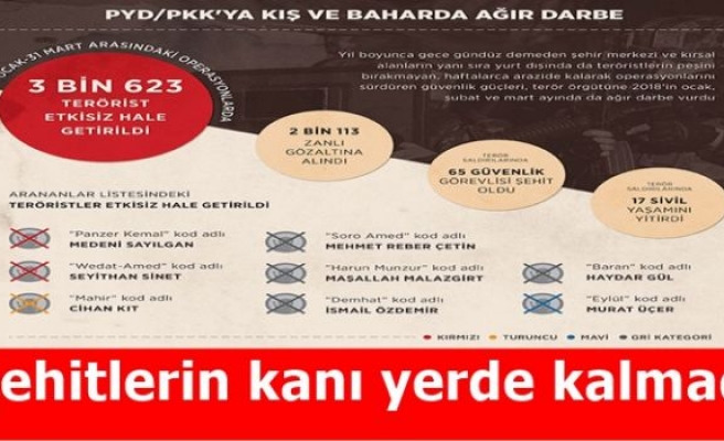 PYD/PKK'ya kış ve baharda ağır darbe