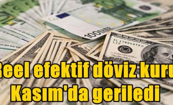 Reel efektif döviz kuru Kasım'da geriledi