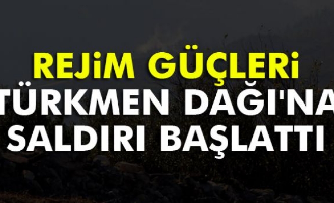 Rejim güçleri Türkmen Dağı'na saldırı başlattı