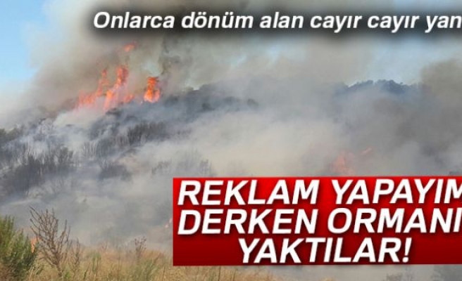 REKLAM YAPAYIM DERKEN ORMANI YAKTILAR!