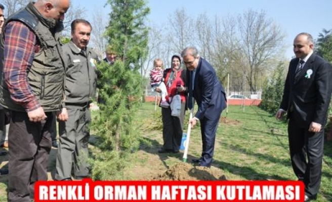 Renkli Orman Haftası Kutlaması