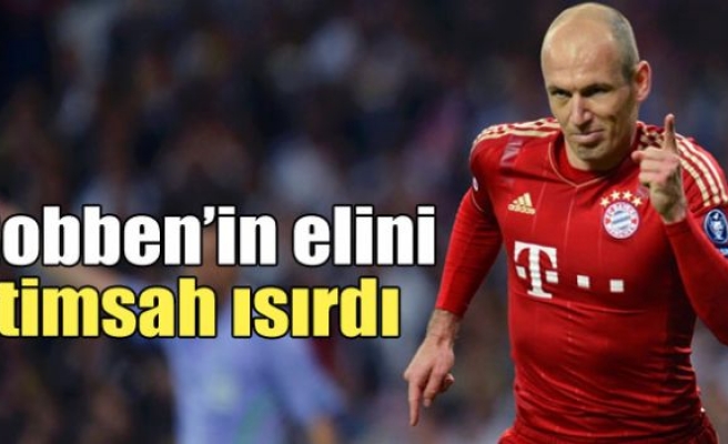 Robben’in elini timsah ısırdı!