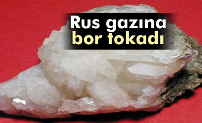 Rus gazına bor tokadı