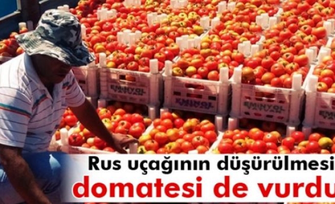 Rus uçağının düşürülmesi, domatesi vurdu