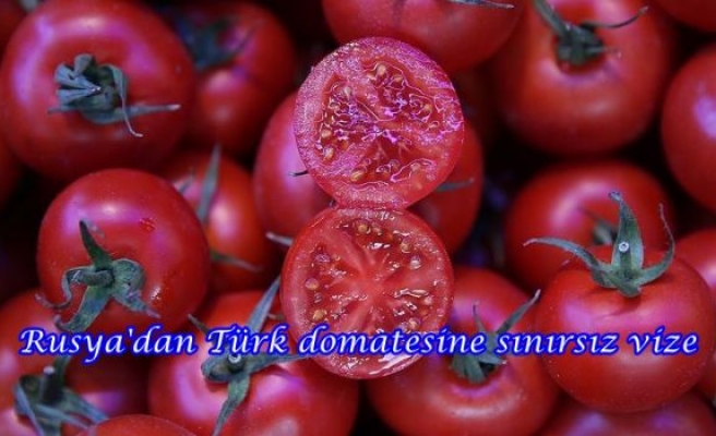 Rusya'dan Türk domatesine sınırsız vize