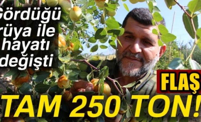 Rüyasında gördü 250 ton üretti!