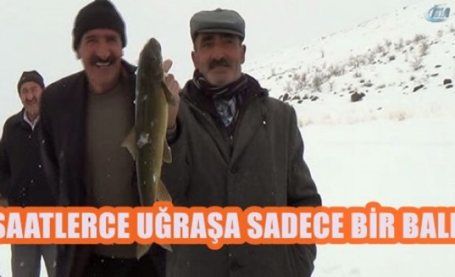 Saatlerce uğraşa sadece bir balık