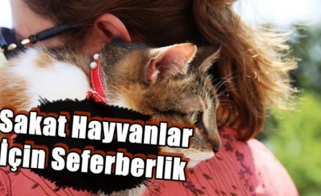 Sakat Hayvanlar İçin Seferberlik