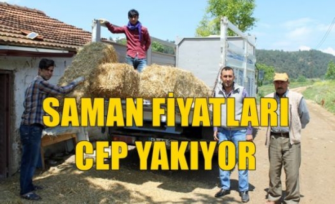 Saman Fiyatları Cep Yakıyor