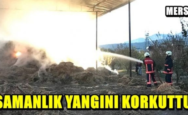 Samanlık yangını korkuttu 