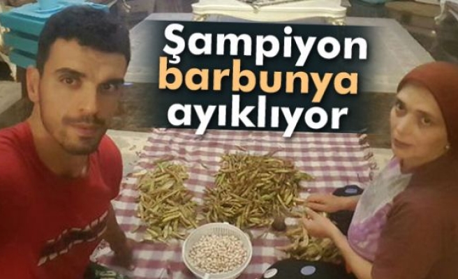 Şampiyon barbunya ayıklıyor