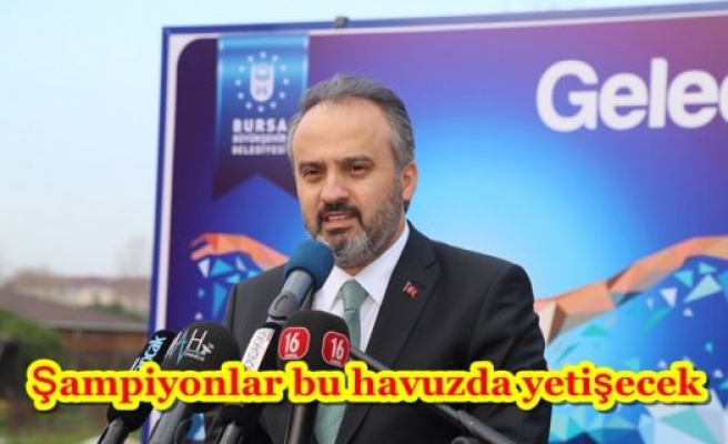 Şampiyonlar bu havuzda yetişecek