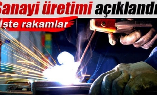 Sanayi üretimi Aralık'ta arttı