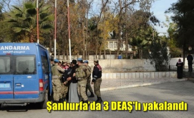 Şanlıurfa’da 3 DEAŞ'lı yakalandı