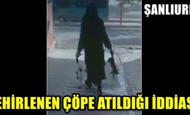 Şanlıurfa'da zehirlenen kedilerin çöpe atıldığı iddiası