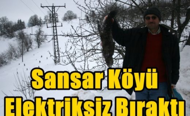 Sansar Köyü Elektriksiz Bıraktı