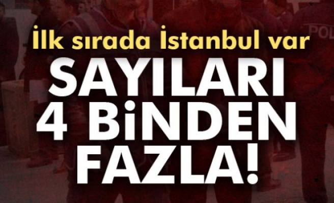 Sayıları 4 Binden Fazla!