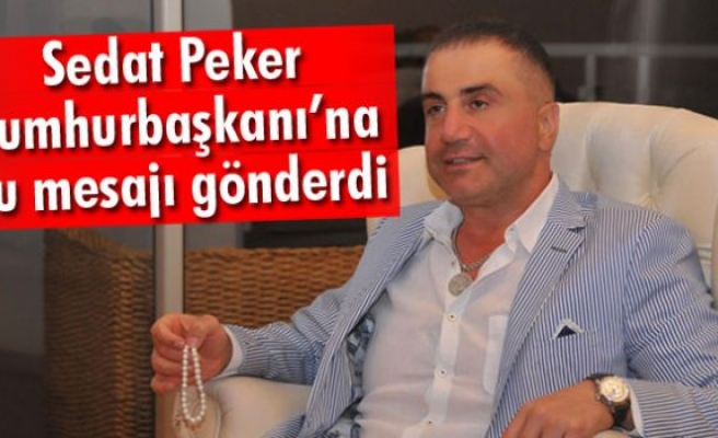 Sedat Peker'den Cumhurbaşkanı Erdoğan'a destek