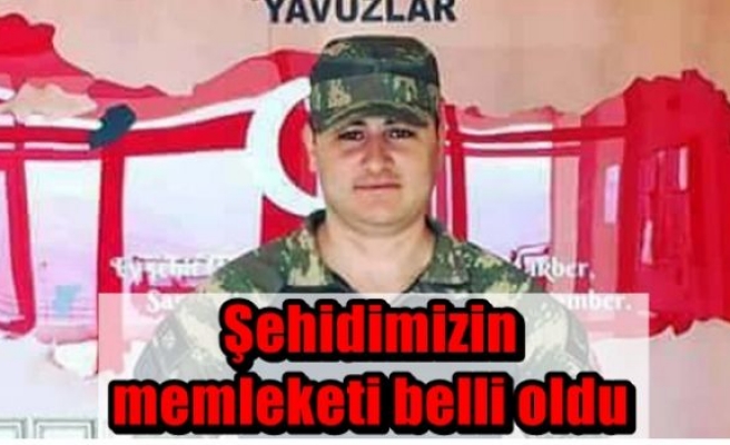 Şehidimizin memleketi belli oldu