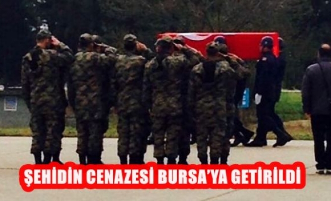 Şehidin Cenazesi Bursa'ya Getirildi 