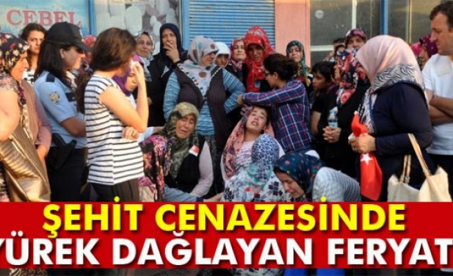 Şehidin kız kardeşinin feryadı yürek dağladı