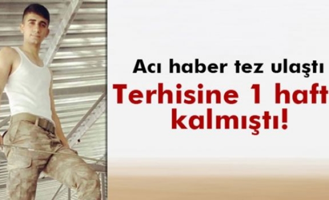 Şehit askerin terhisine 1 hafta kalmıştı