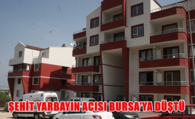 Şehit yarbayın acısı Bursa'ya düştü