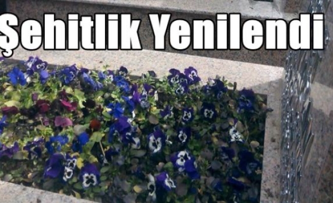 Şehitlik Yenilendi