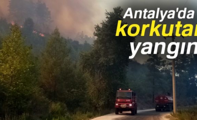 Serik'te orman yangını