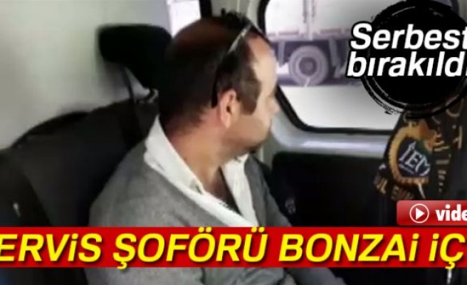 SERVİS ŞOFÖRÜ BONZAİ İÇTİ!