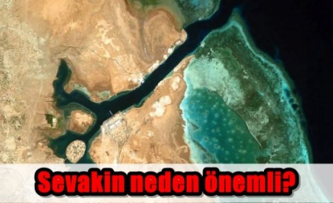 Sevakin neden önemli?