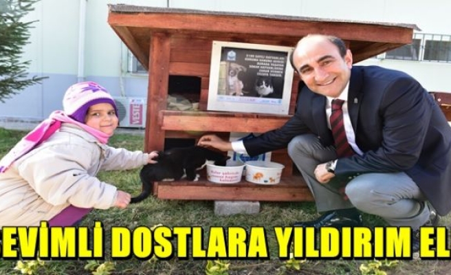 Sevimli dostlar unutulmuyor