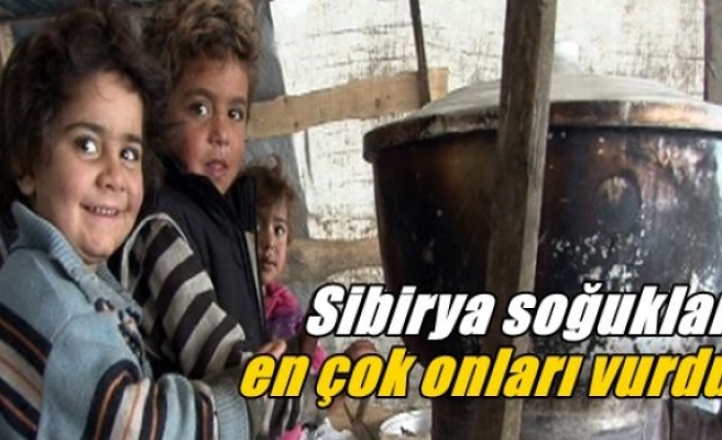 Sibirya soğukları en çok onları vurdu