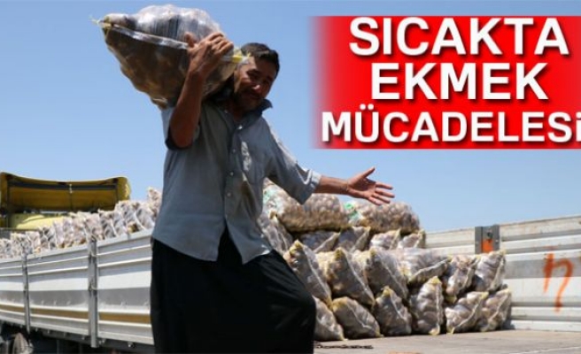 SICAKTA EKMEK MÜCADELESİ!