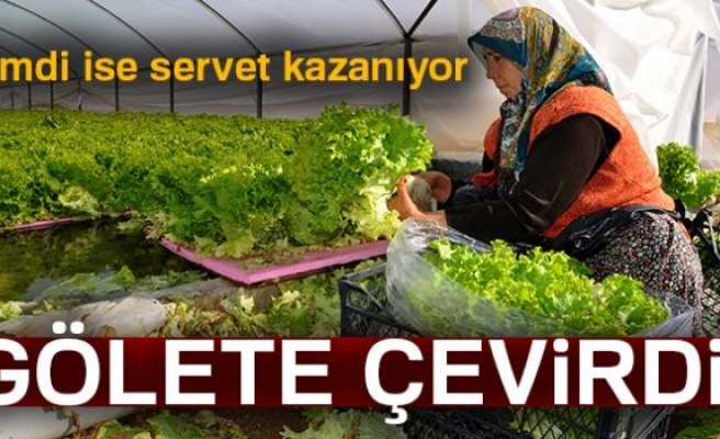 ŞİMDİ SERVET KAZANIYOR!