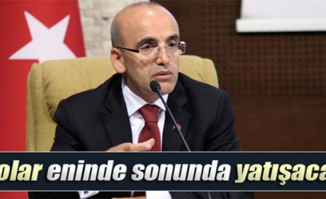 Şimşek: 'Dolar eninde sonunda yatışacak'