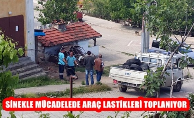 Sinekle Mücadele Araç Lastikleri Topları 